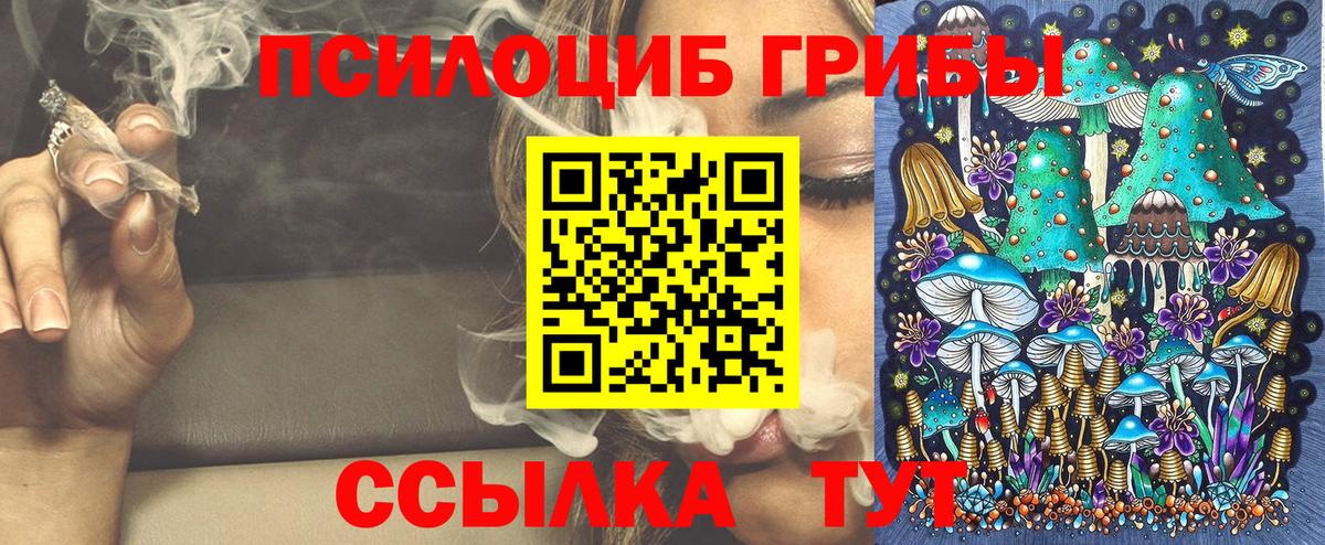 Псилоцибиновые грибы GOLDEN TEACHER Коммунар