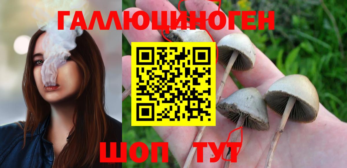 как найти закладки  Вход с VPN  Коммунар  Галлюциногенные грибы Psilocybe 